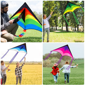 Halloscume large delta kite in a sunny beach scene for visibility.