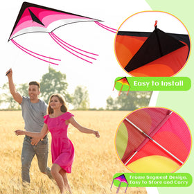 Halloscume large delta kite skyline with vivid rainbow colors in flight.
