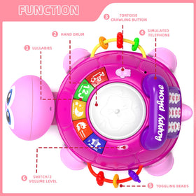 Hanayo baby learning turtle with lights aids early recognition of numbers and letters.