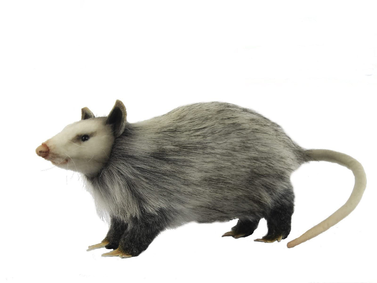 HANSA opossum 12-inch realistic plush for nature displays and collections