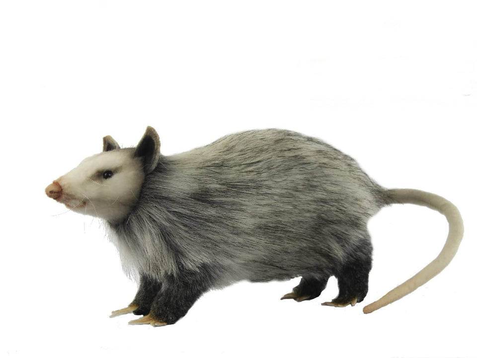 HANSA opossum 12-inch realistic plush for nature displays and collections