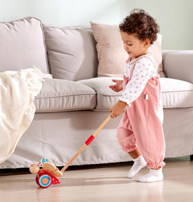 Hape push-pull toy demonstrates cause-and-effect through wing movements.