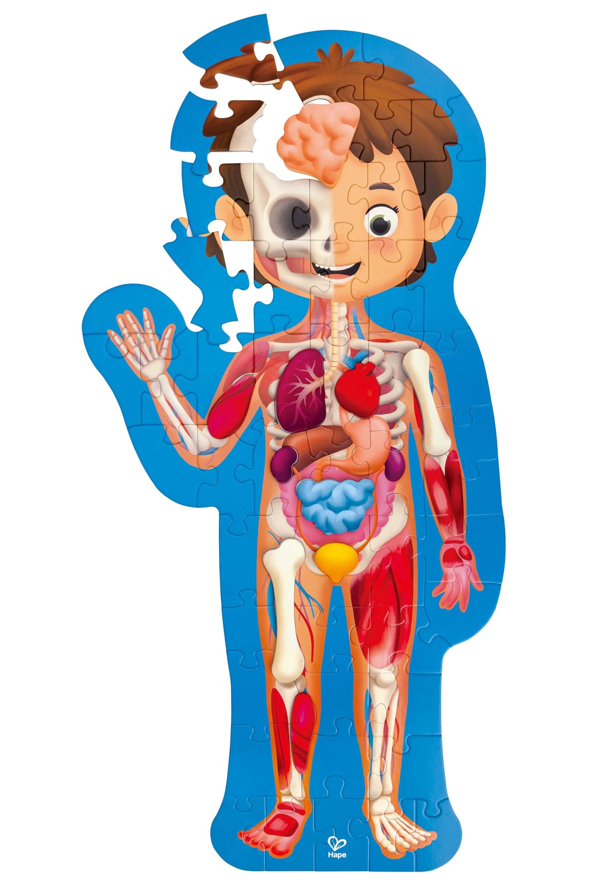 Hape Human Body Puzzle with 60 oversized pieces supports early spatial learning.