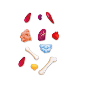 Hape Human Body Puzzle designed for ages 4 plus promotes safe, curious exploration.