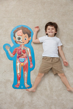 Hape Human Body Puzzle wooden muscles pieces help kids explore movement and coordination.