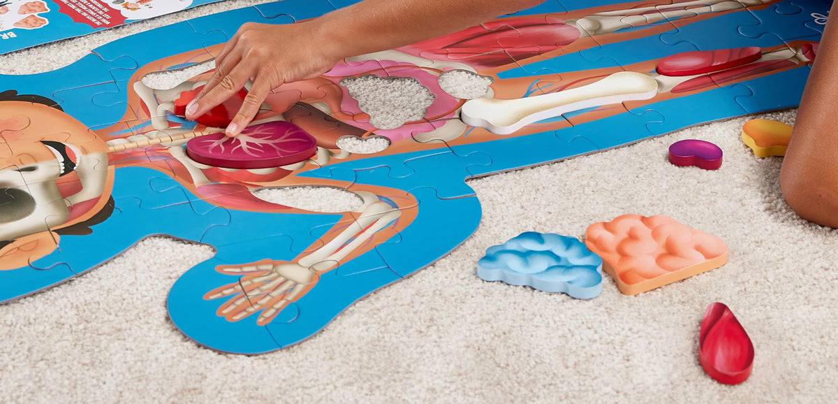 Hape Human Body Puzzle sits flat for tabletop learning and family playtime.