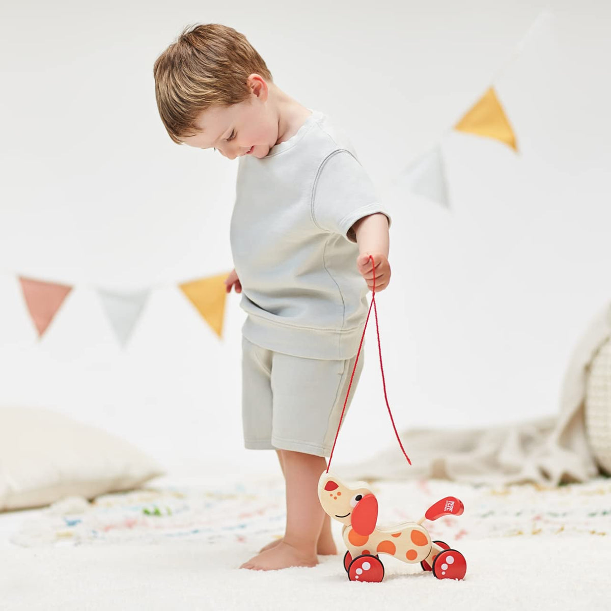 Hape Walk-A-Long Puppy features non-toxic finishes for safe play.