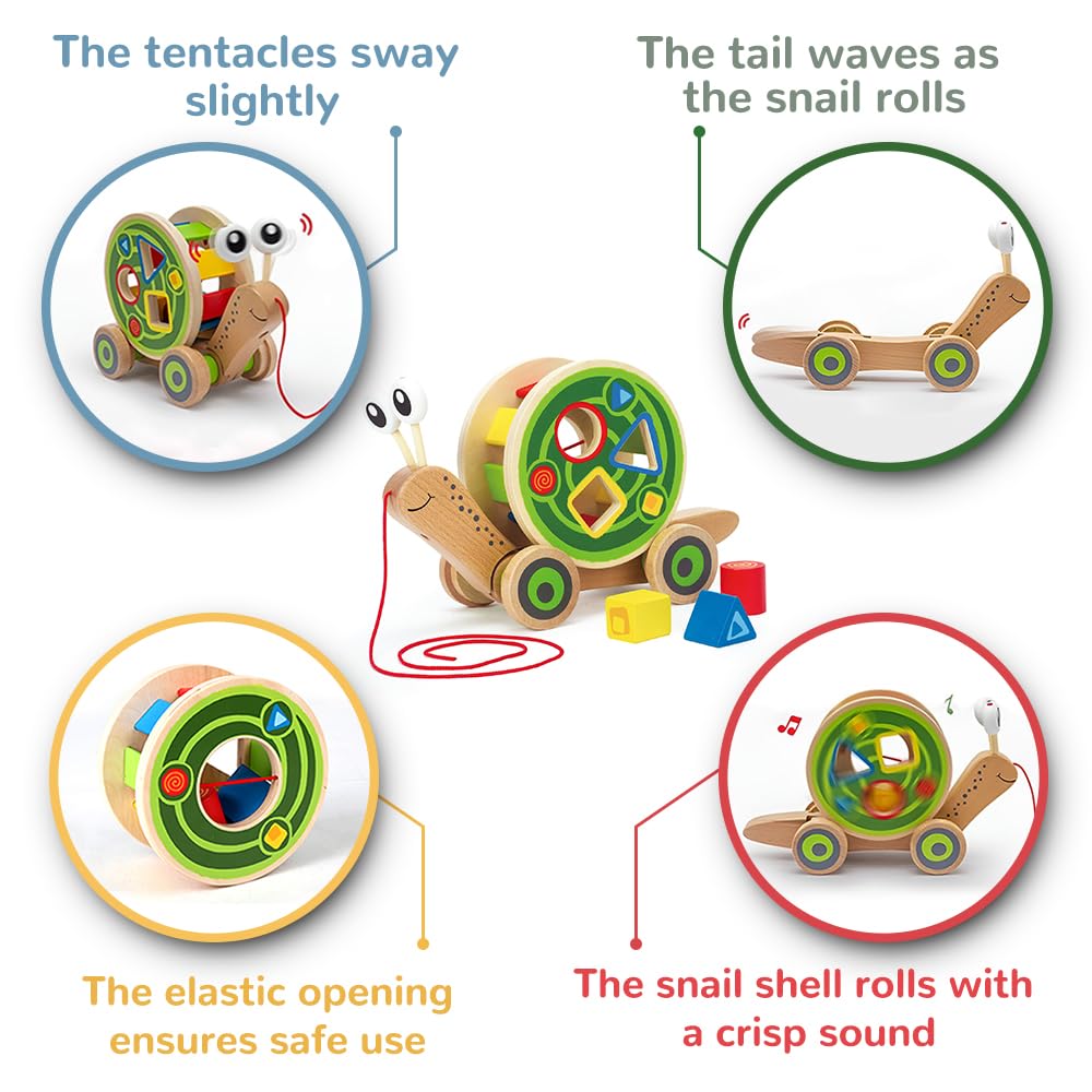 Hape Walk-A-Long Snail uses eco-friendly water-based paint on durable wood.