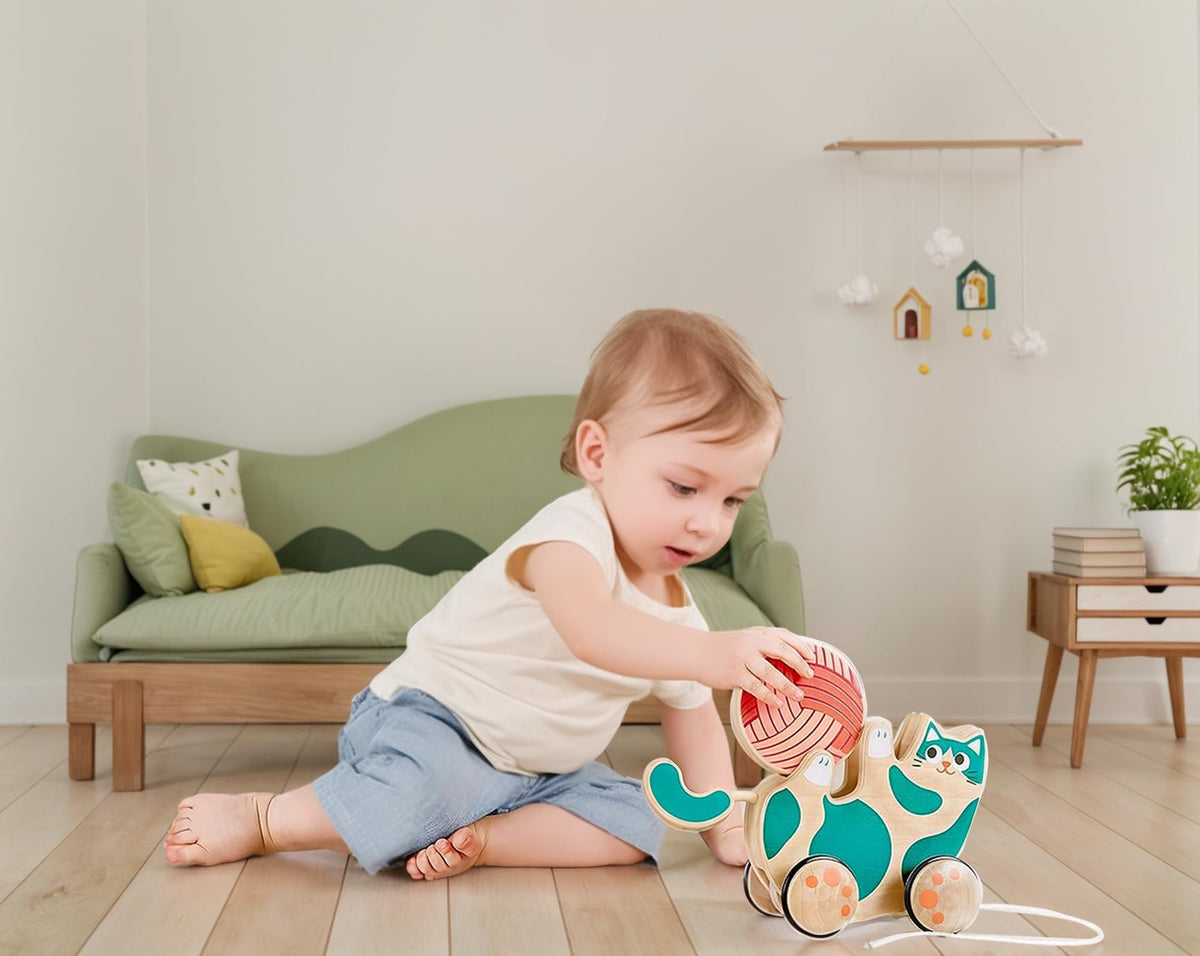 Hape wooden pull-along with removable wool ball rattle for extra play.