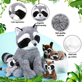 Harrycle four baby raccoons in poses, compact playmates.