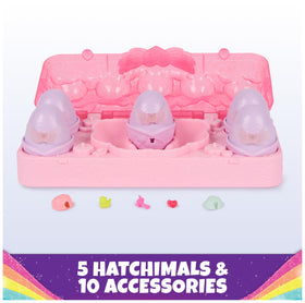 Hatchimals 5 Rainbow Splash characters with wings ready for adventures.