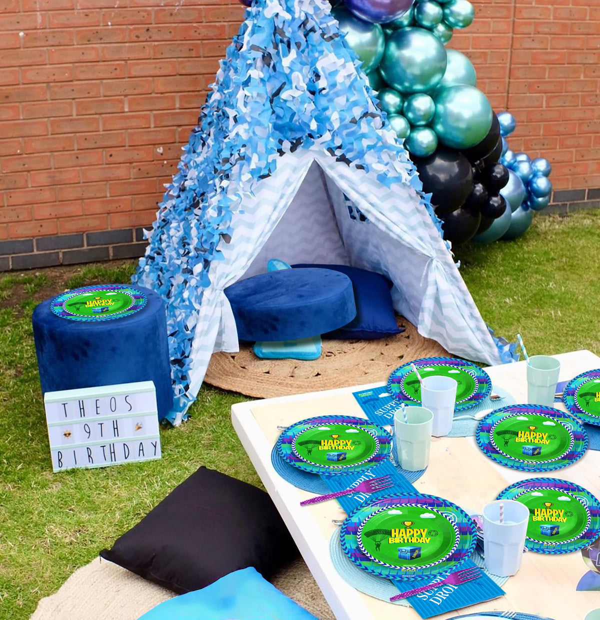 Haxpacal video games llama party decor enhancing the celebration atmosphere