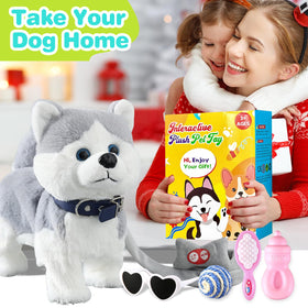 HCDoujoy gift-packaging-for-kids ready-to-gift option