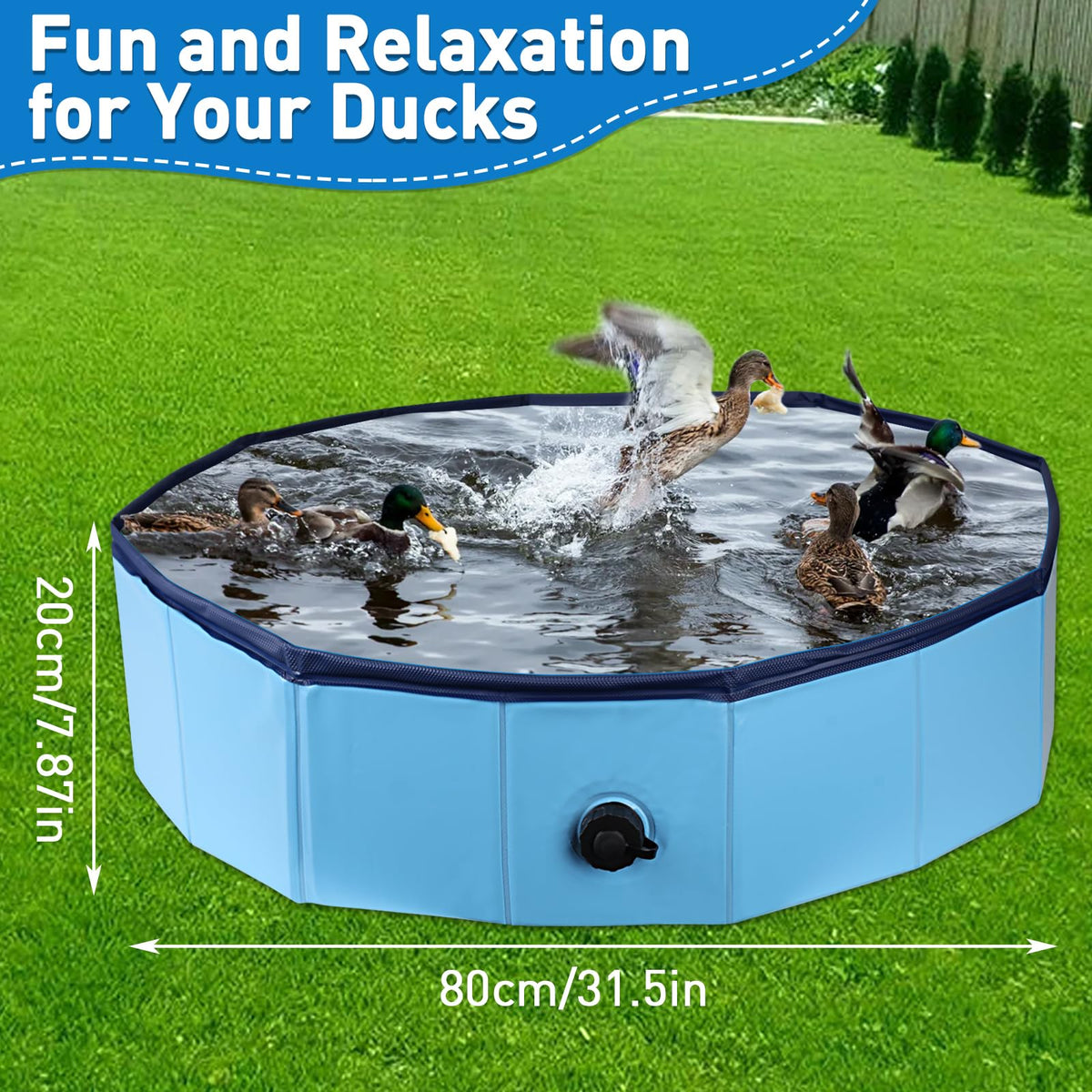 Hdnbsp Foldable Pool is versatile for ducks, dogs, and cats in any space.