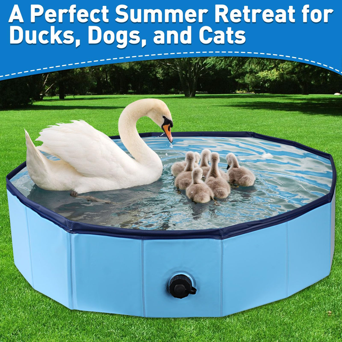 Hdnbsp pool features reinforced edges for durable outdoor use.