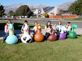 HearthSong Hop N Go backyard playground companion for family fun.