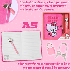 Hello Kitty diary gift ready box makes a cute present for fans.