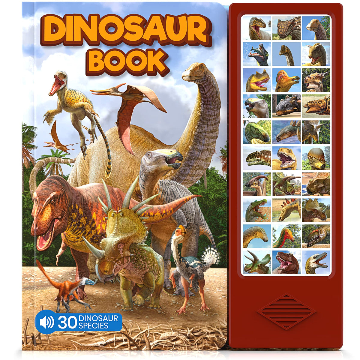 Hemalleon Dinosaur Book cover with bright colors invites early learning.