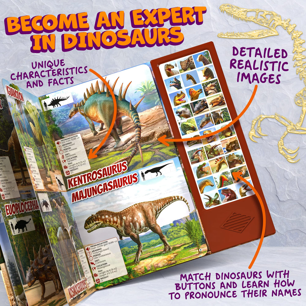 Hemalleon Dinosaur Book sound buttons deliver realistic roars during playtime.