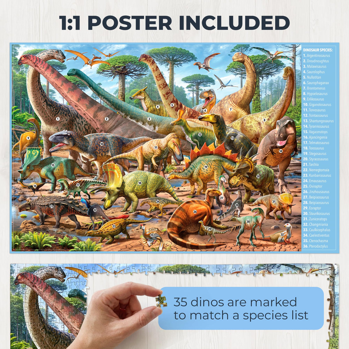 Hemalleon one-to-one reference poster clearly labels each dinosaur