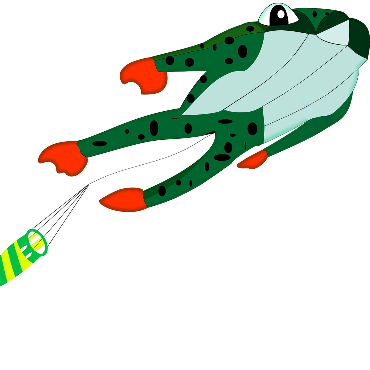 HENGDA KITE 3D frog kite soars in bright colors for family outdoor fun