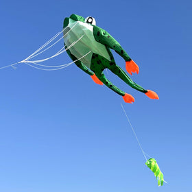 HENGDA KITE vivid frog pattern stands out in the sky for easy tracking