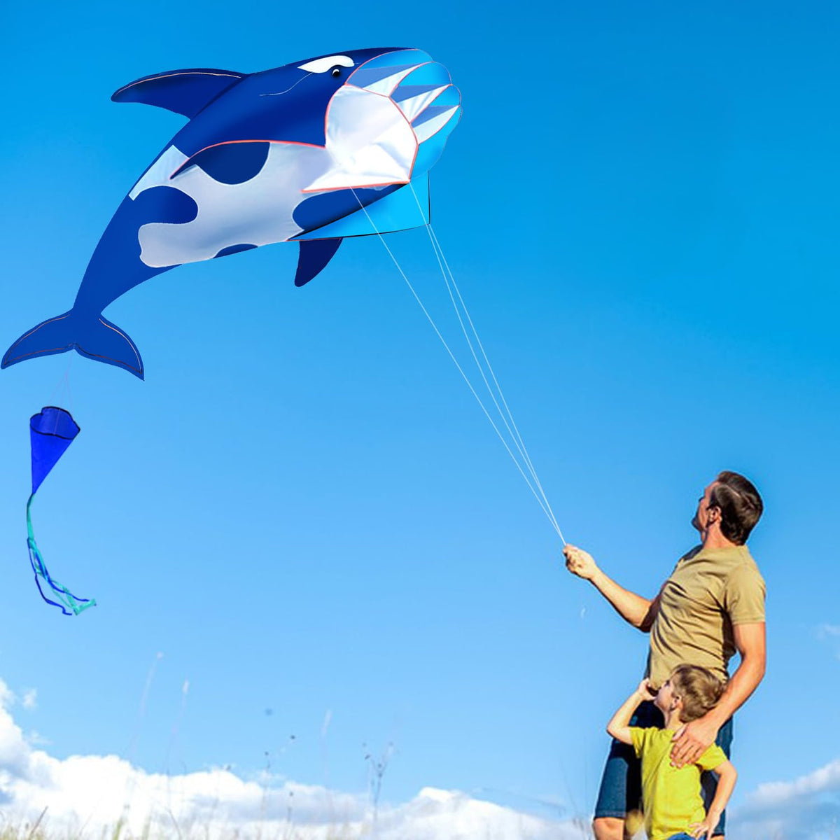 HENGDA KITE complete package with instructions and accessories