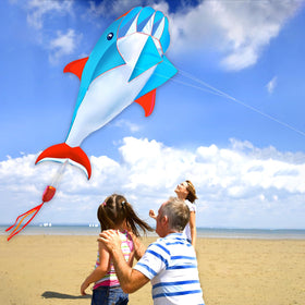 HENGDA KITE complete package includes line, instructions, and accessories.