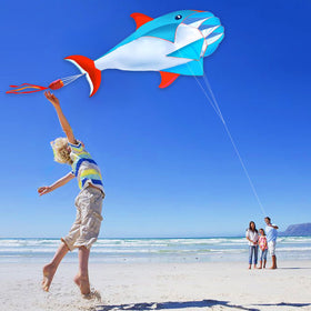 HENGDA KITE dolphins art print with high-definition visuals.
