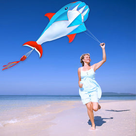 HENGDA KITE sturdy frame for strong wind resistance.