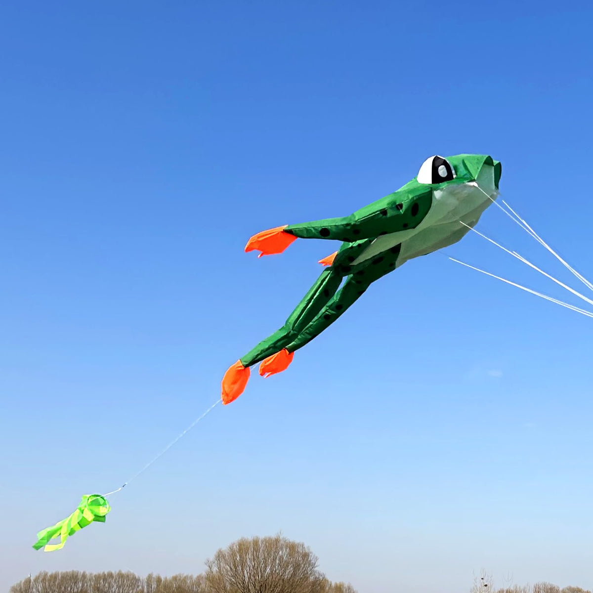 HENGDA KITE easy assembly with lines and handles included for quick setup