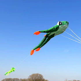HENGDA KITE easy assembly with lines and handles included for quick setup