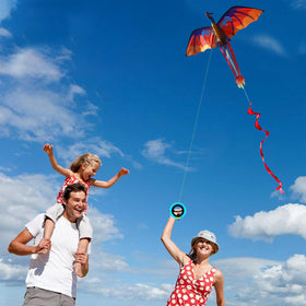 HENGDA KITE easy to operate dragon kite, perfect for beginners and families.