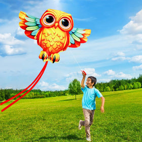 HENGDA KITE easy to assemble kite setup for quick play