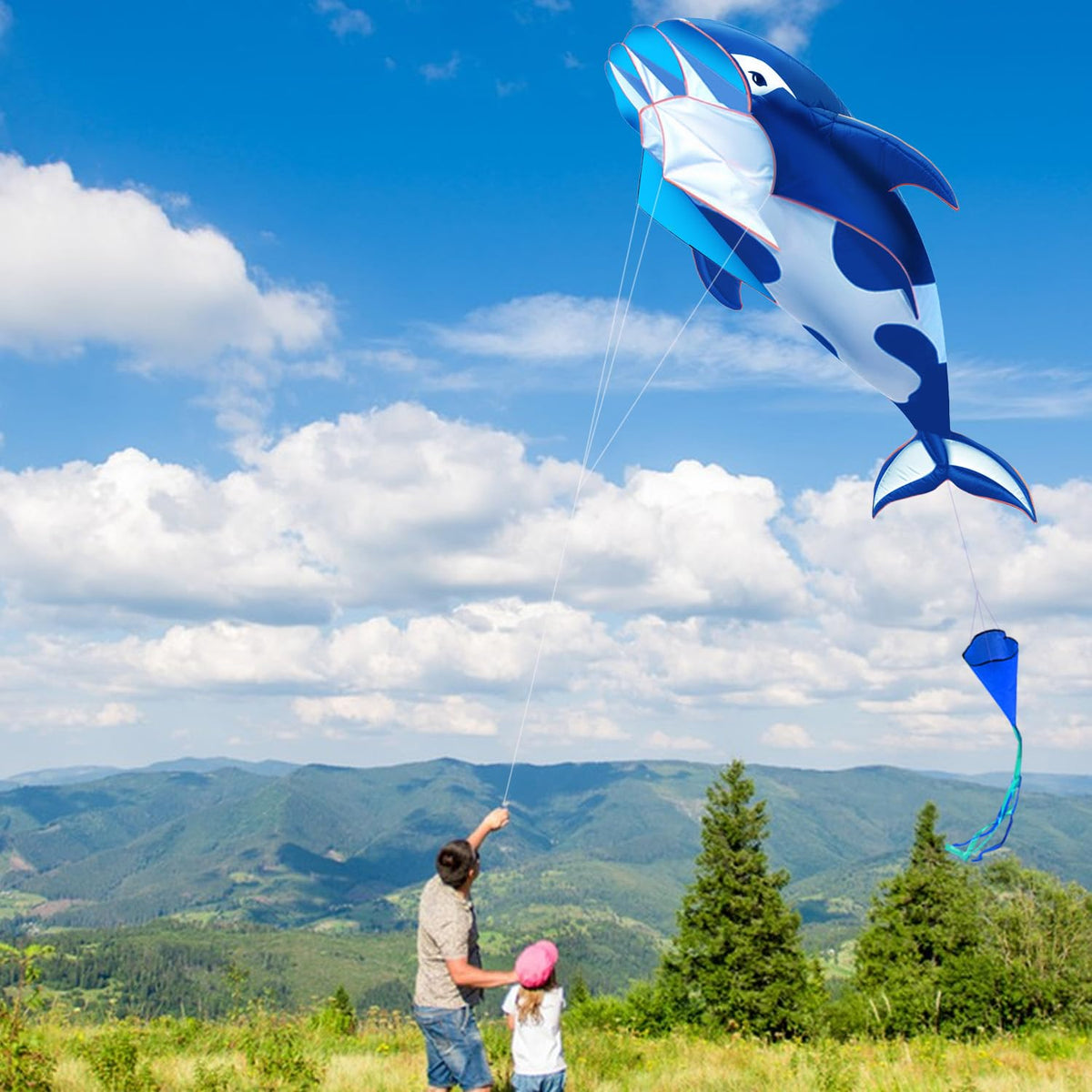HENGDA KITE easy to fly for beginners, smooth handling
