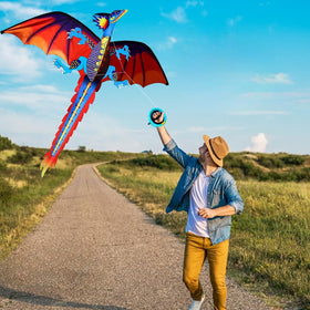 HENGDA KITE family outdoor activity kit for park, beach, or backyard flights.