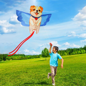 HENGDA KITE fiberglass frame close-up reveals light, durable structure