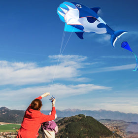 HENGDA KITE high-definition artwork on fabric, vivid details