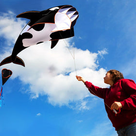 HENGDA KITE high-definition prints on the sail resemble a painting in motion