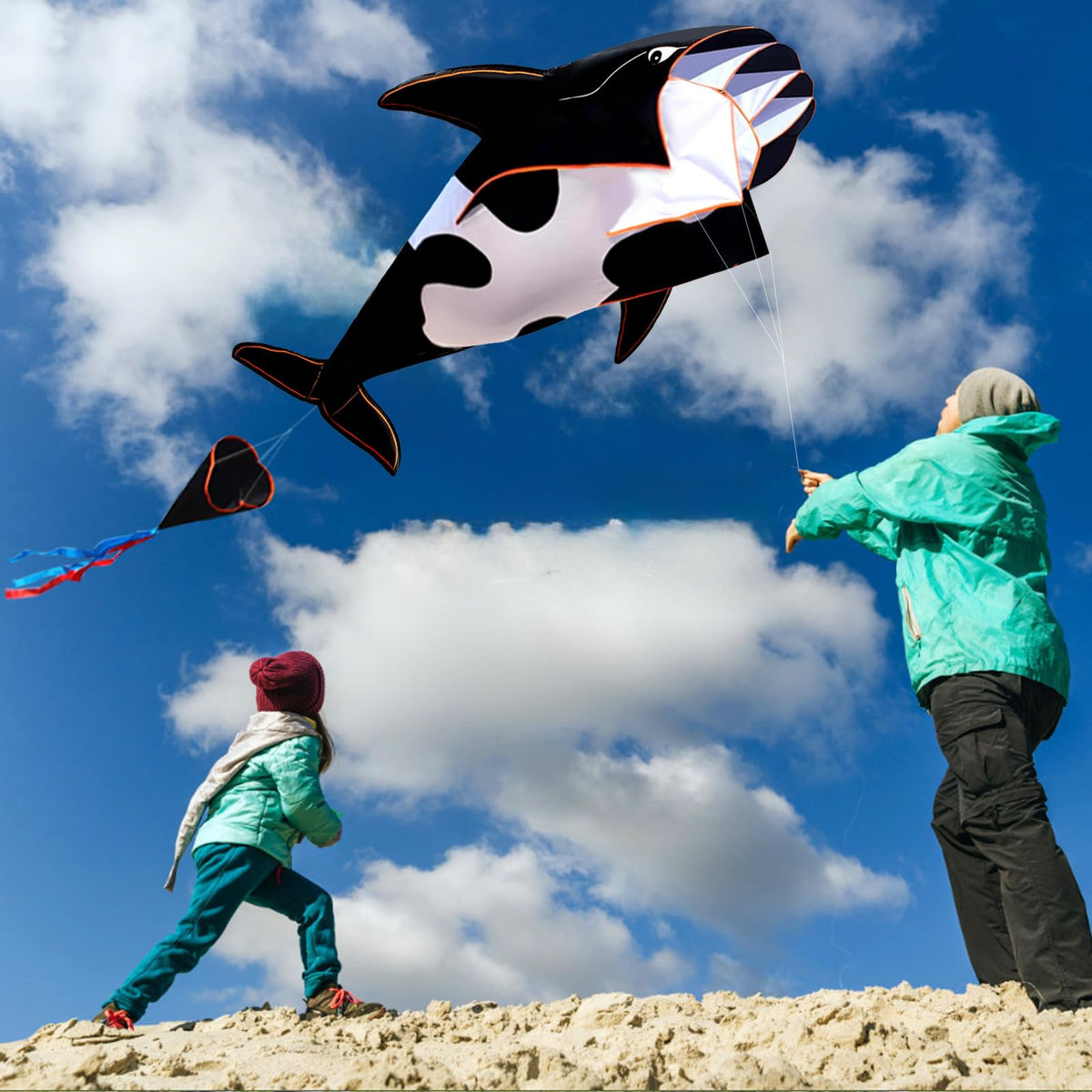 HENGDA KITE polyester 210 fabric showing durable, weather-ready sail
