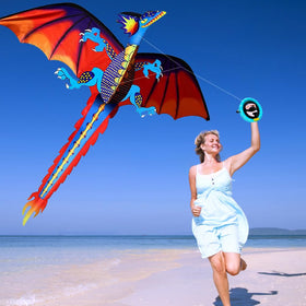 HENGDA KITE single-line kite with tail offers stable tracking and visibility.