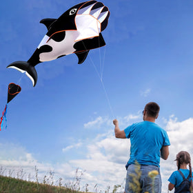 HENGDA KITE stable air performance supports steady beginner flights