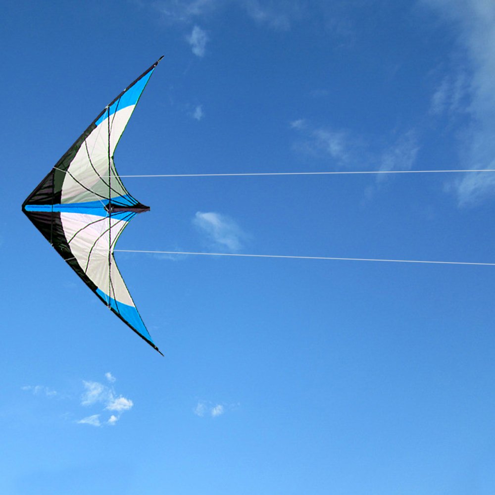 HENGDA KITE Star Rhyme 48 inch frame, sturdy build resists ground bumps.