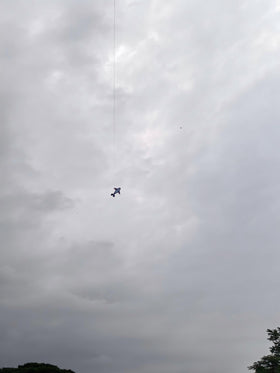 Heoniex whale kite frame folded for travel, easy to store.