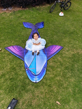 Heoniex giant whale kite on sunny lawn, perfect for outdoor play.