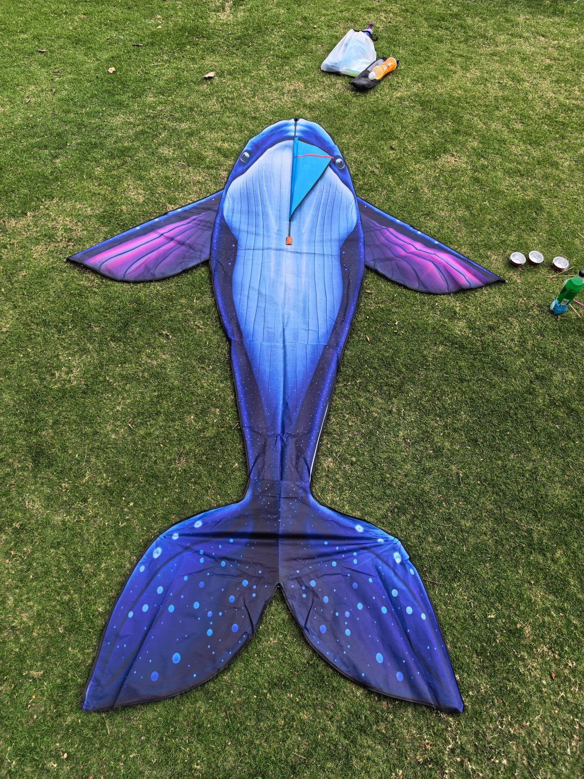 Heoniex whale kite flying in a park, easy for beginners.