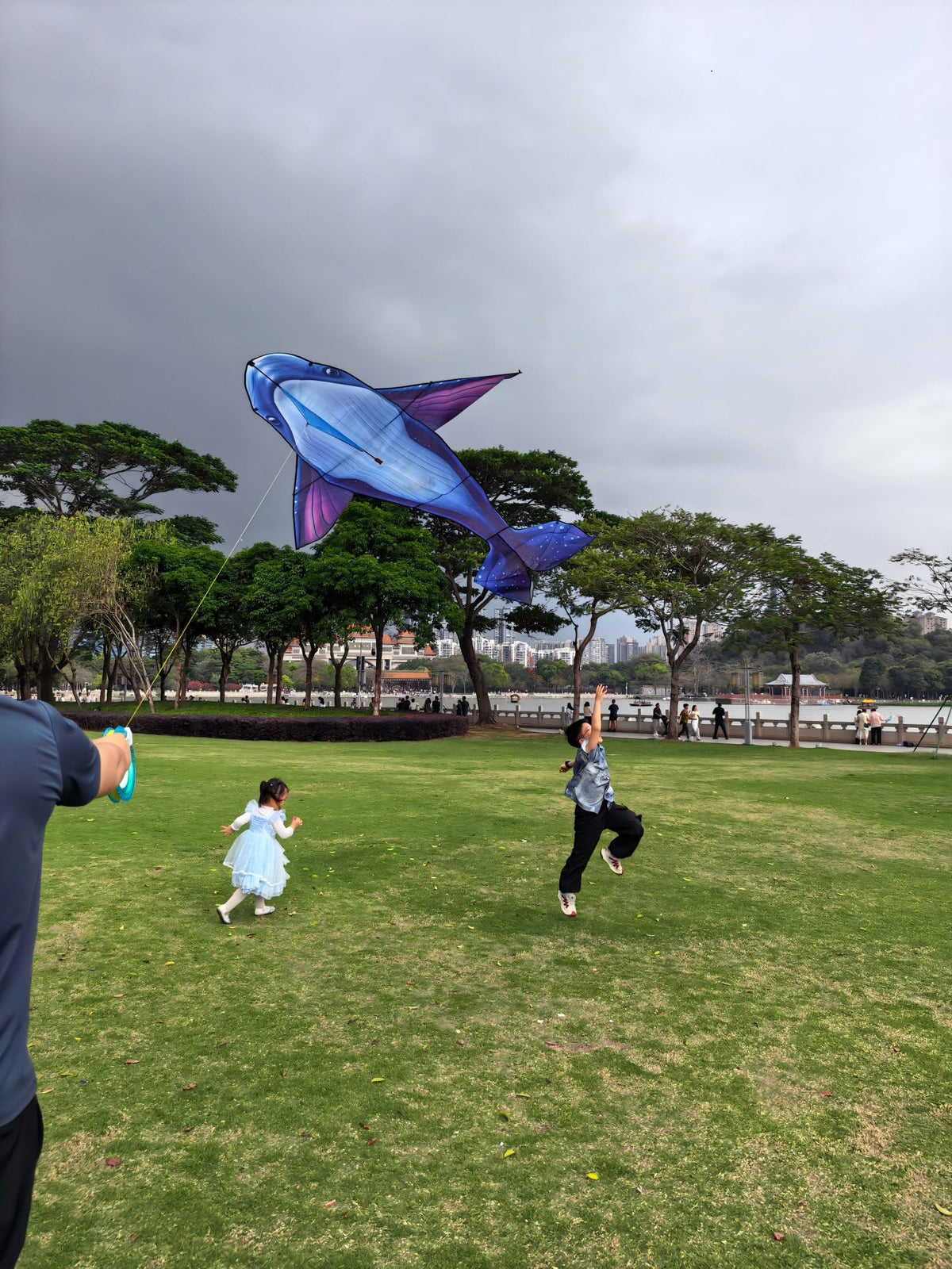 Heoniex whale kite stable flight in light winds, beginner friendly.