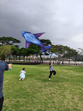Heoniex whale kite stable flight in light winds, beginner friendly.