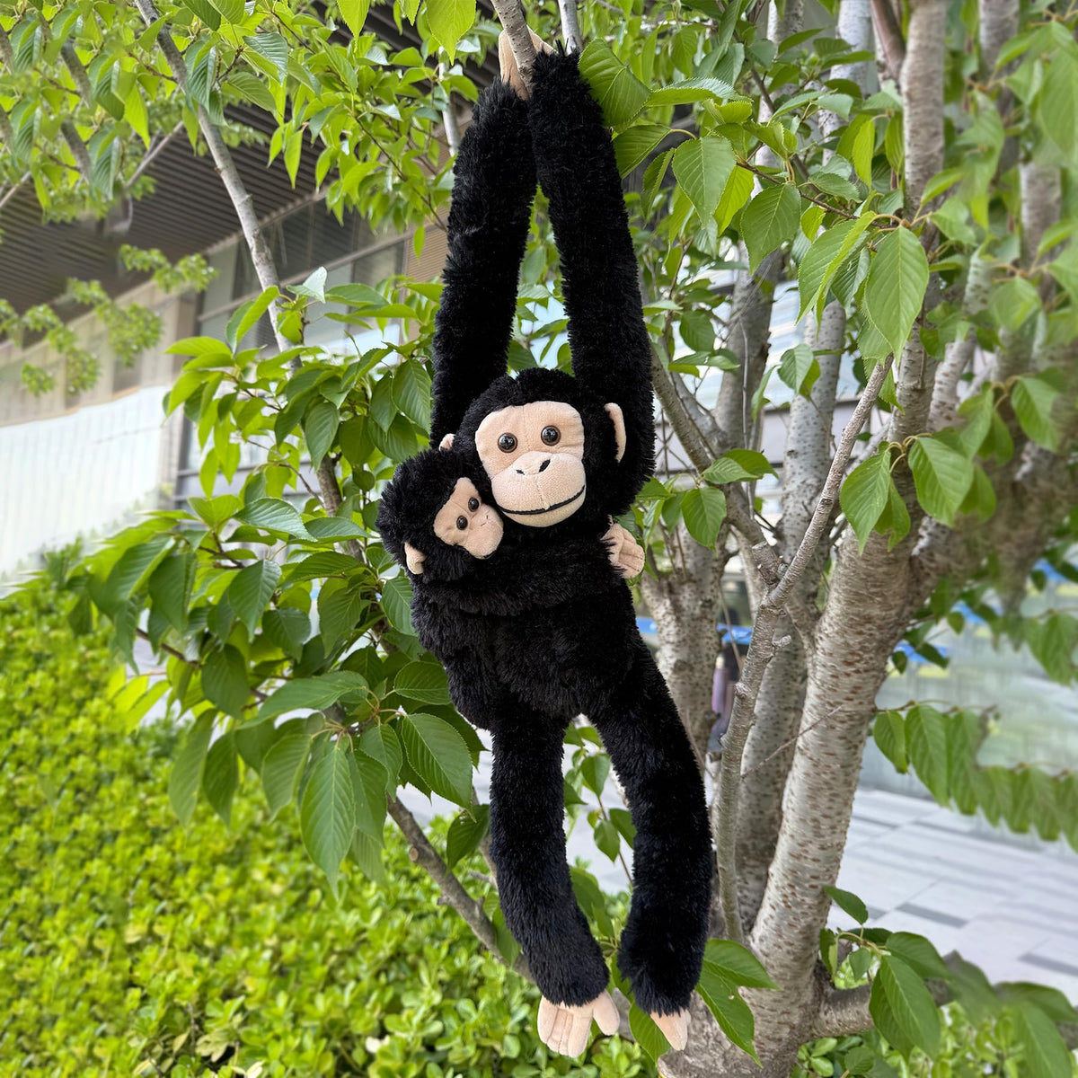 Hideekoog chimpanzee gift plush set for birthdays and holidays