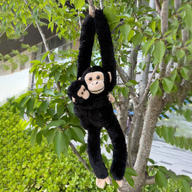 Hideekoog chimpanzee gift plush set for birthdays and holidays